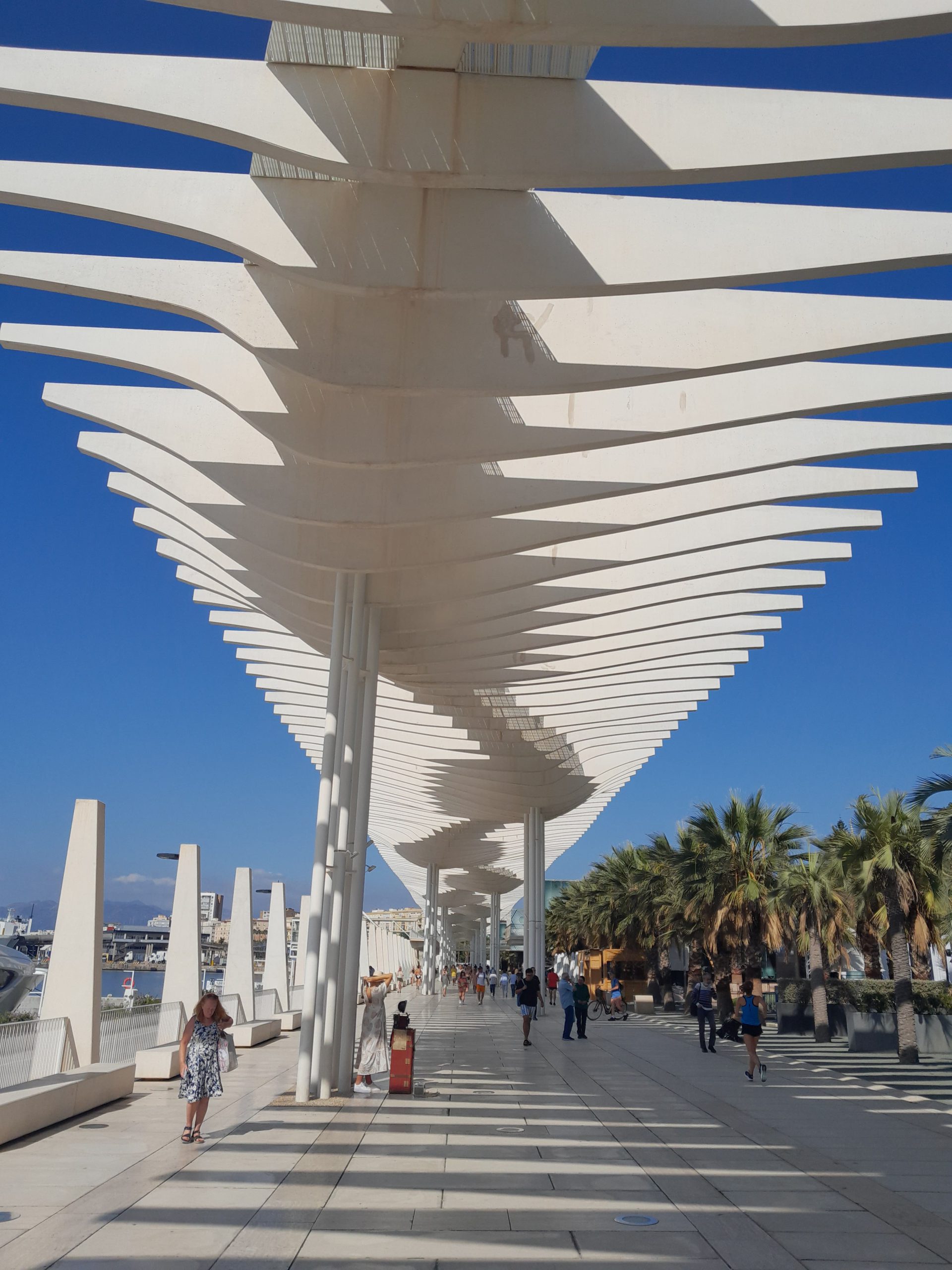 Malaga 1
