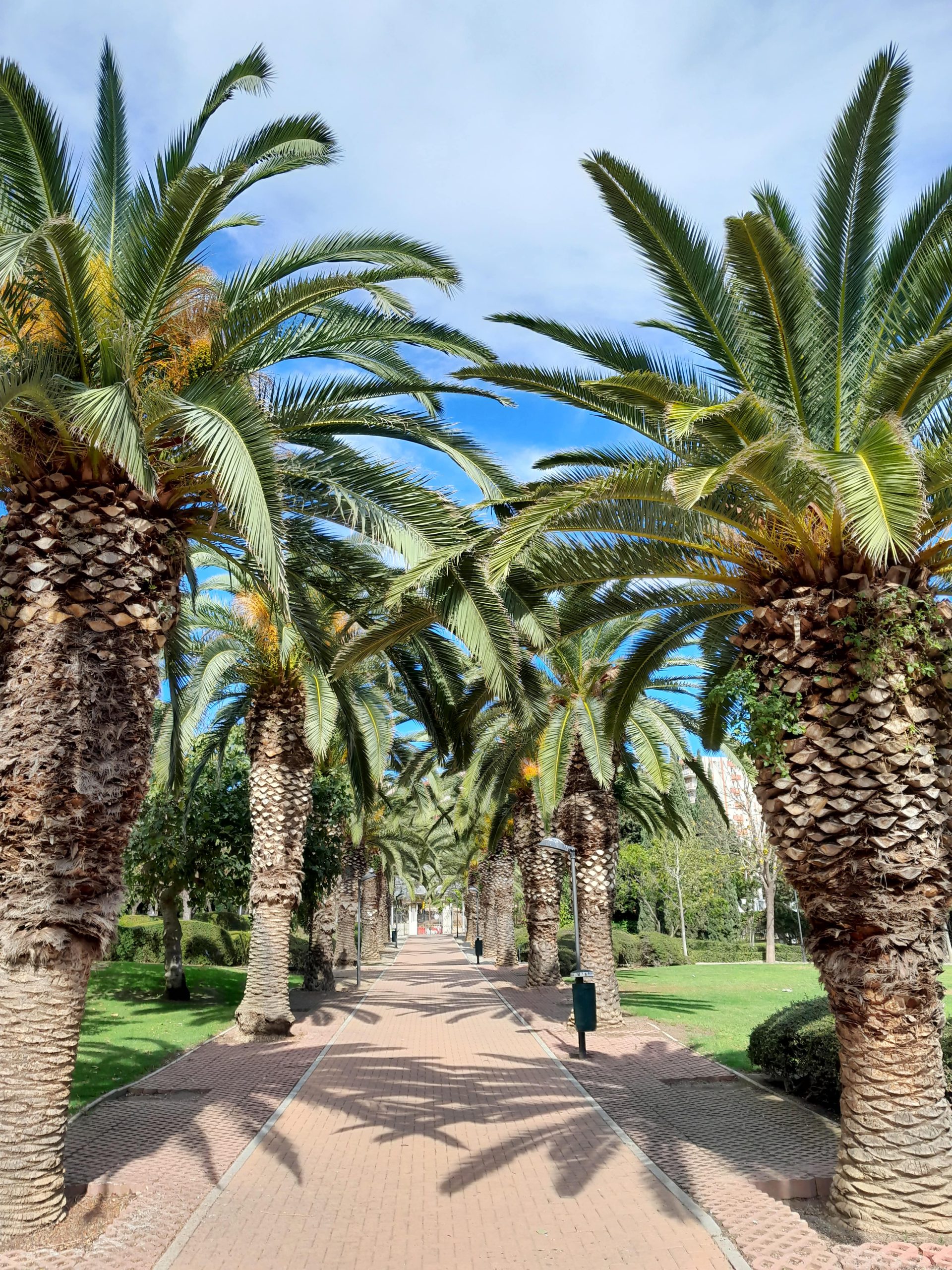 Parque de la Paloma @ Benalmadena 2